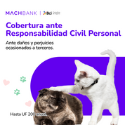 Seguro mascotas B-Pets MachBank – cobertura perros y gatos 2025