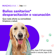Cobertura veterinaria mascotas B-Pets: traslado, asistencia, hotel, vacunación