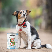 Sense Alimento Húmedo Cachorro: Nutrición hipoalergénica para cachorros. 