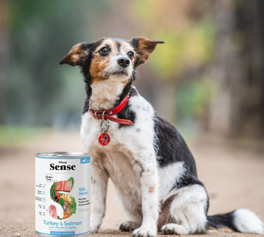 Sense Alimento Húmedo Cachorro: Nutrición hipoalergénica para cachorros. 
