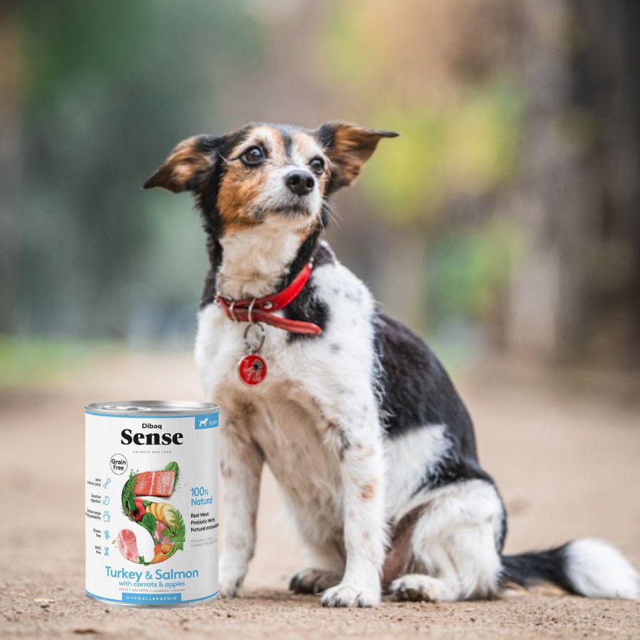 Sense Alimento Húmedo Cachorro: Nutrición hipoalergénica para cachorros. 