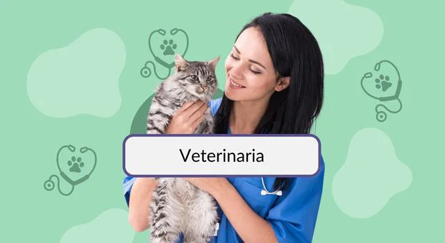 servicios veterinarios bpets.cl