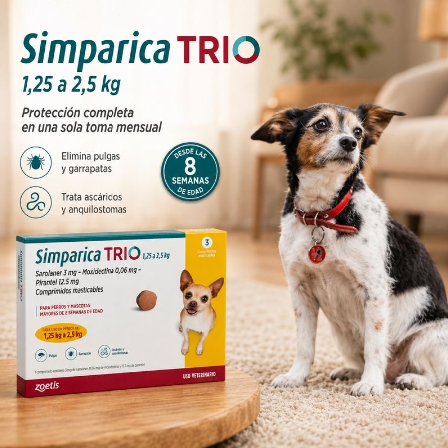 Perro pequeño junto a la caja de Simparica Trio 1,25 a 2,5 kg de 3 comprimidos, protección mensual desde las 8 semanas