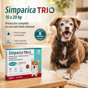 Perro mediano junto a la caja de Simparica Trio 10 a 20 kg de 1 comprimido, protección completa en una toma mensual