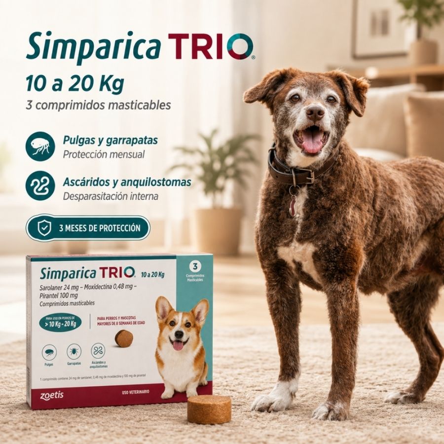 Perro mediano junto a la caja de Simparica Trio 10 a 20 kg de 3 comprimidos, tres meses de protección mensual