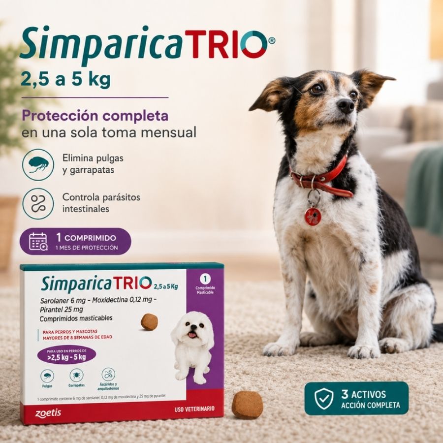 Perro pequeño junto a la caja de Simparica Trio 2,5 a 5 kg de 1 comprimido, protección completa en una toma mensual