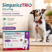 Perro pequeño junto a la caja de Simparica Trio 2,5 a 5 kg de 3 comprimidos, tres meses de protección mensual