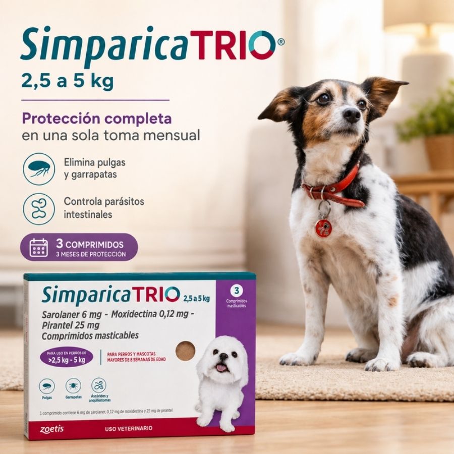 Perro pequeño junto a la caja de Simparica Trio 2,5 a 5 kg de 3 comprimidos, tres meses de protección mensual