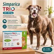 Perro grande junto a la caja de Simparica Trio 20 a 40 kg de 1 comprimido, antiparasitario oral con tres activos