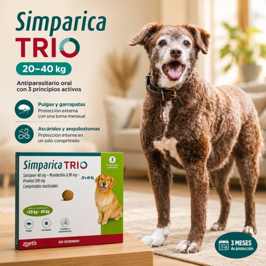 Perro grande junto a la caja de Simparica Trio 20 a 40 kg de 3 comprimidos, tres meses de protección mensual