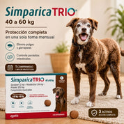 Perro gigante junto a la caja de Simparica Trio 40 a 60 kg de 1 comprimido, protección completa en una toma mensual