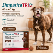 Perro gigante junto a la caja de Simparica Trio 40 a 60 kg de 3 comprimidos, tres meses de protección mensual
