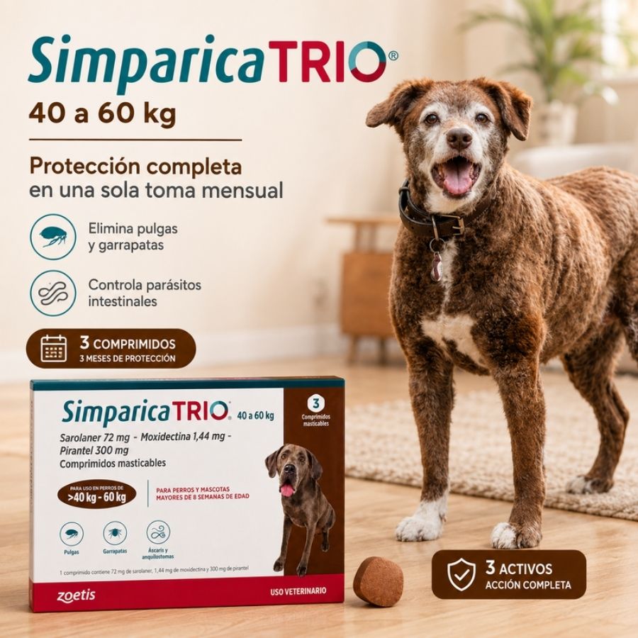 Perro gigante junto a la caja de Simparica Trio 40 a 60 kg de 3 comprimidos, tres meses de protección mensual