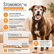 Beneficios de Stomorgyl 10: salud bucodental, doble acción antibiótica y dosis de 1 comprimido por cada 10 kg