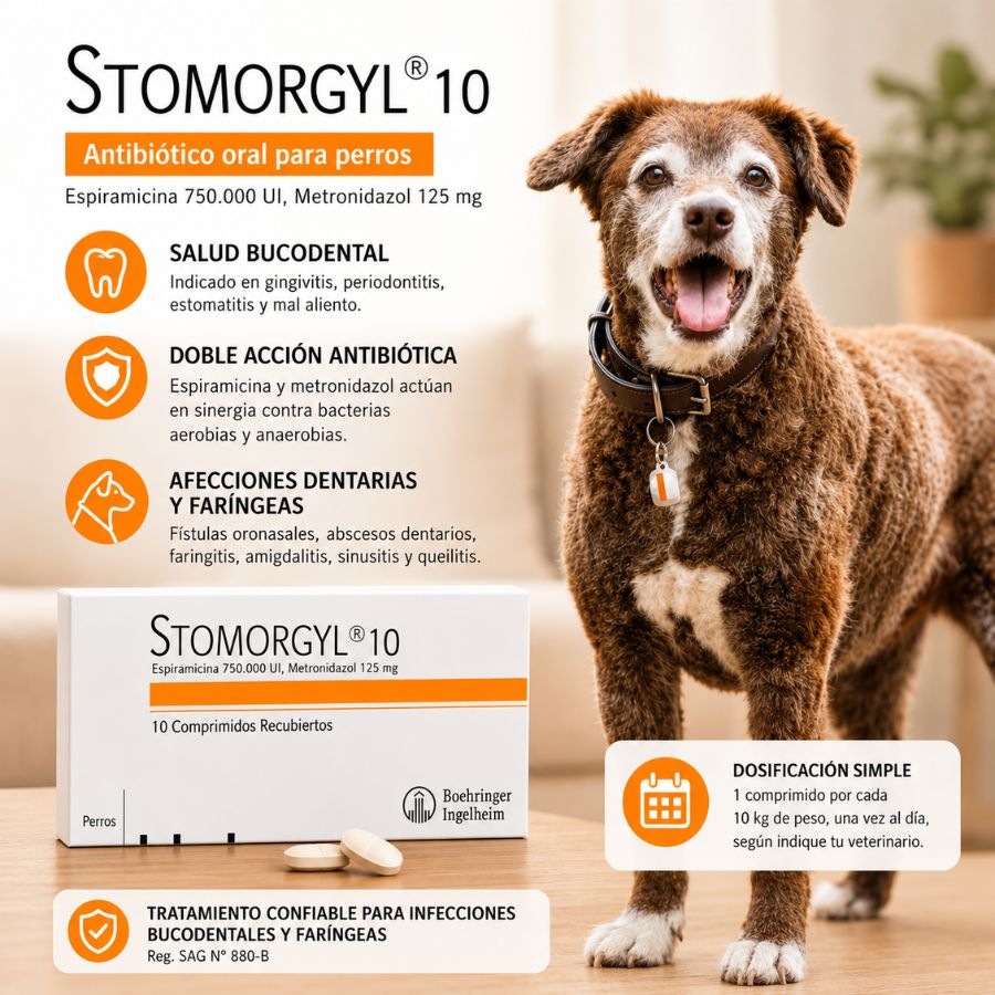 Beneficios de Stomorgyl 10: salud bucodental, doble acción antibiótica y dosis de 1 comprimido por cada 10 kg