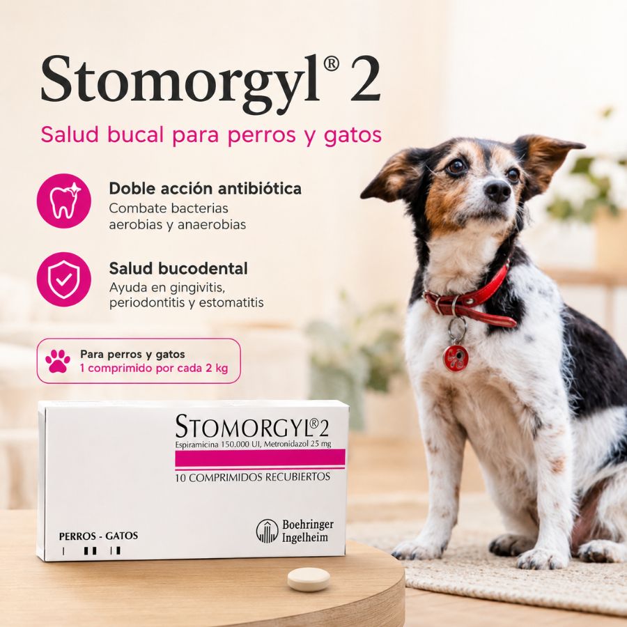 Beneficios de Stomorgyl 2: doble acción antibiótica, salud bucodental y dosis de 1 comprimido por cada 2 kg