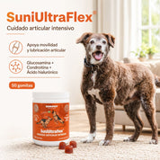 Sunipet SuniUltraflex 160 GR suplemento articular intensivo con glucosamina, MSM y condroitina para mejorar movilidad y confort.