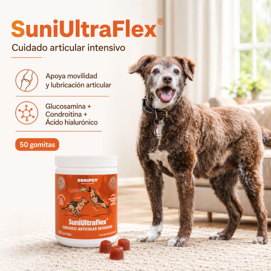 Sunipet SuniUltraflex 160 GR suplemento articular intensivo con glucosamina, MSM y condroitina para mejorar movilidad y confort.