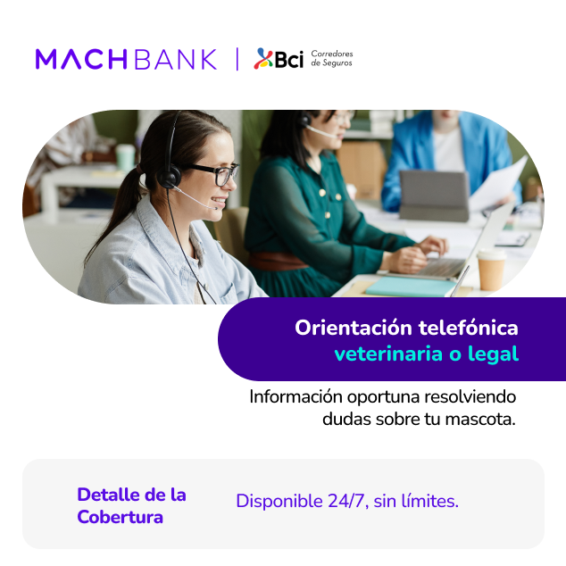 Coberturas del seguro integral para perros y gatos, palabras clave: seguro, mascotas, coberturas, eventos, UF. bpets.cl