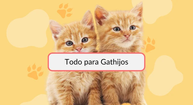 tienda de alimentos para mascotas bpets.cl