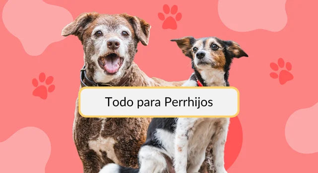 tienda de productos para perros bpets.cl