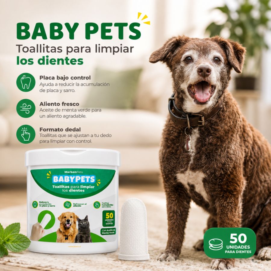 Perro junto al pote Baby Pets con toallita dental de dedo y beneficios: placa bajo control y aliento fresco