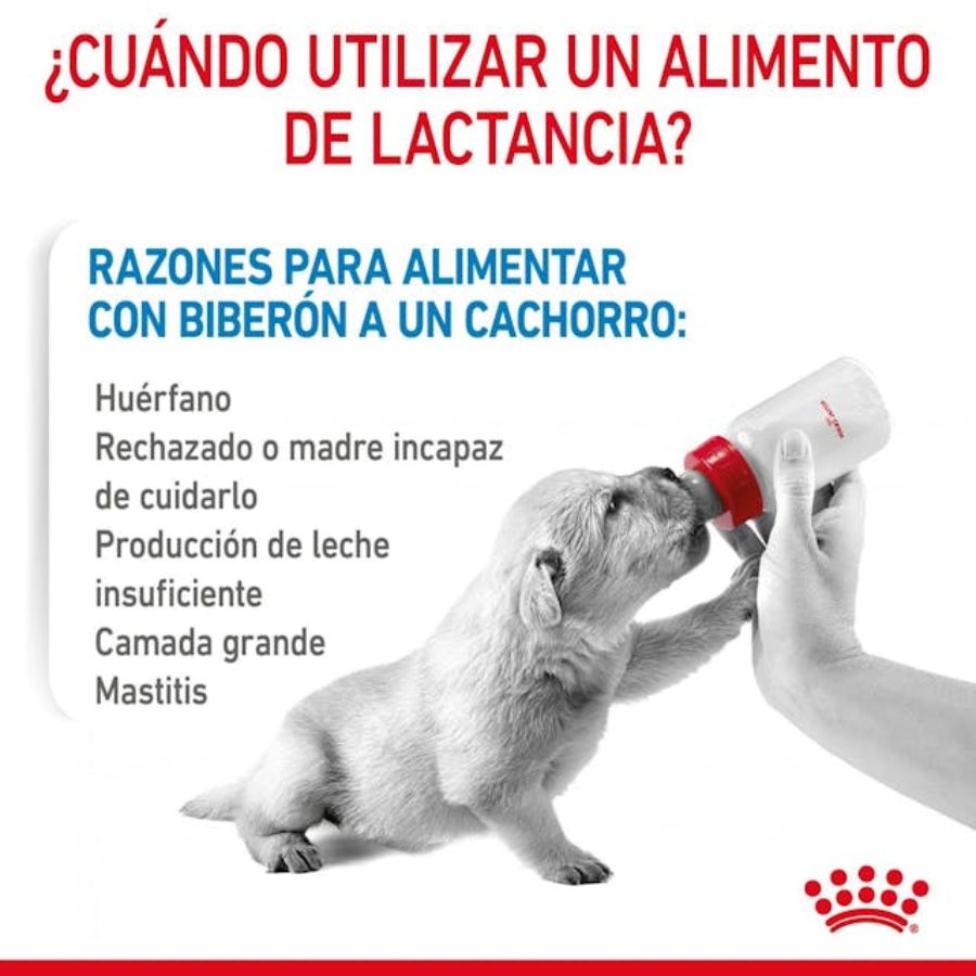 Royal Canin Babydog Milk - Leche para Cachorros 400G: ideal para cachorros de 0-2 meses, fácil de disolver, rica en DHA, favorece la digestión y el sistema inmunitario. 🐶🥛