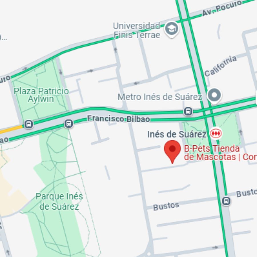 veterinaria para perros y gatos en providencia