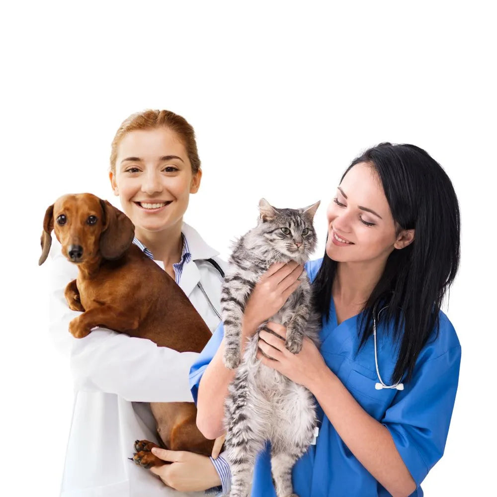 Clinica veterinaria y tienda online de productos para mascotas. Bpets