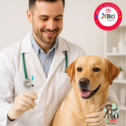 Vacuna Antirrábica para perros, protege contra el virus de la rabia. Incluye consulta veterinaria y atención personalizada. ¡Agenda hoy para asegurar la salud de tu peludito!