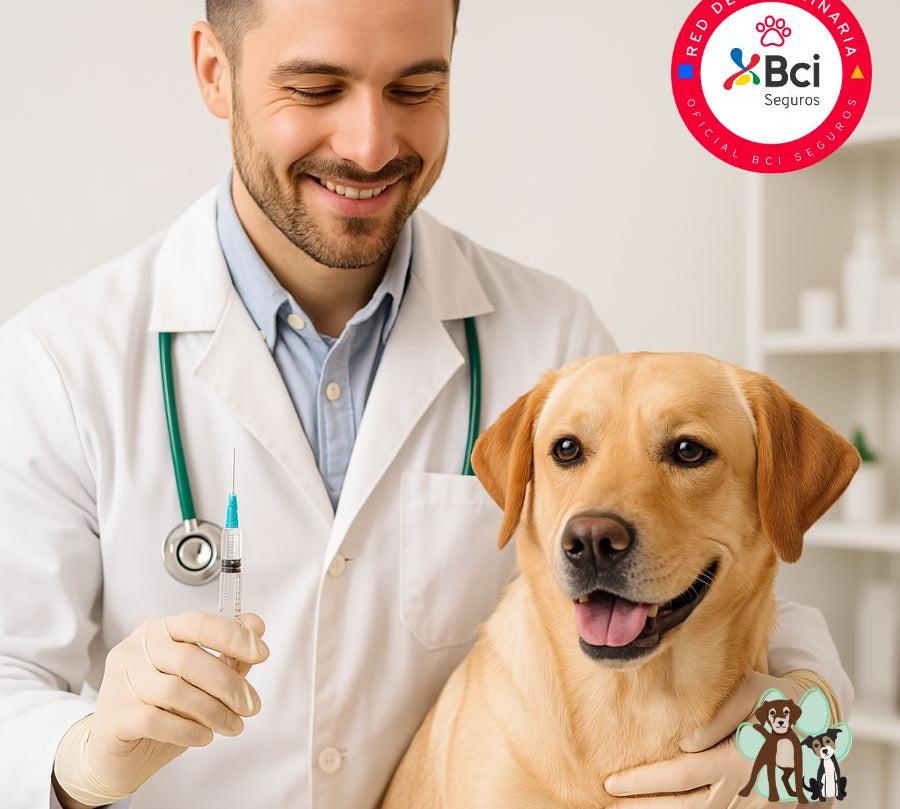 Vacuna Antirrábica para perros, protege contra el virus de la rabia. Incluye consulta veterinaria y atención personalizada. ¡Agenda hoy para asegurar la salud de tu peludito!