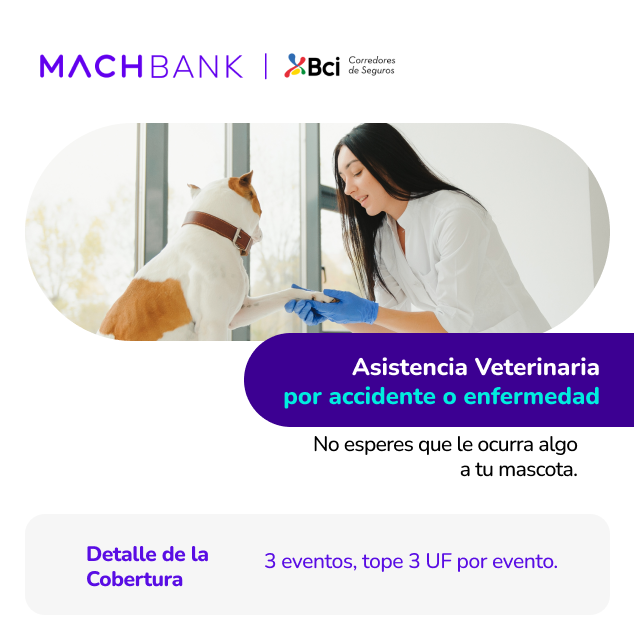 Coberturas del seguro para mascotas - Seguro Integral MACH 2025 bpets.cl
