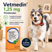 Beneficios de Vetmedin 1,25 mg junto a un perro pequeño: fortalece el corazón y reduce su carga, acción dual