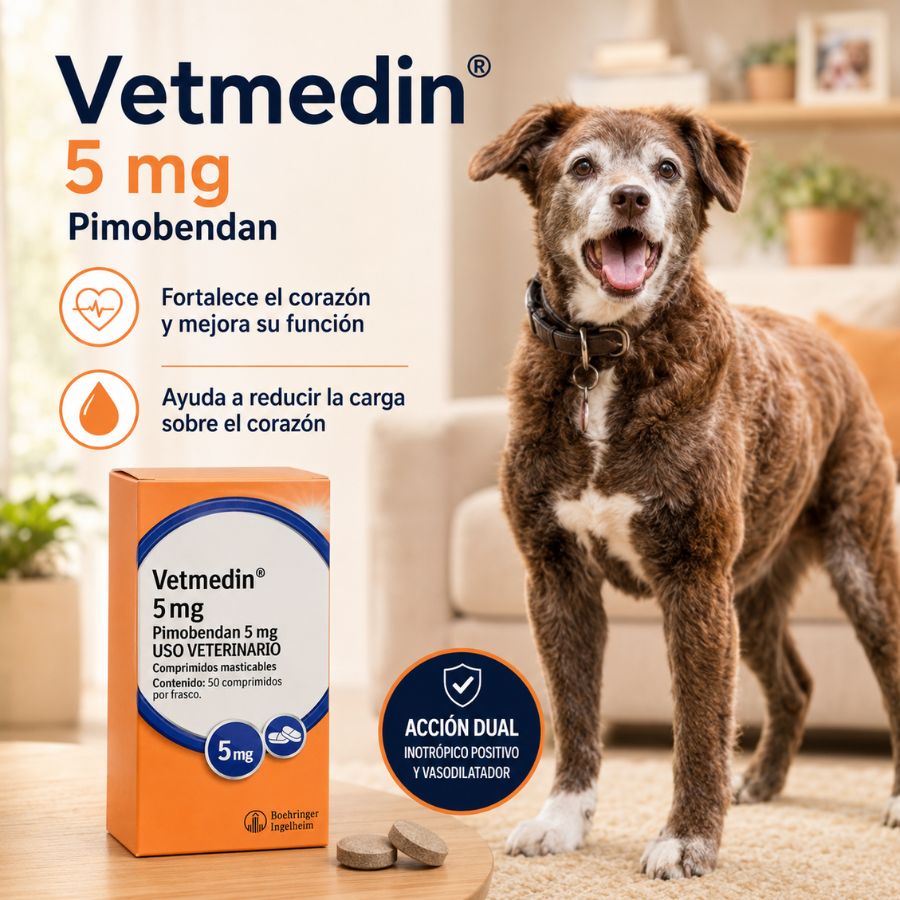 Beneficios de Vetmedin 5 mg junto a un perro senior: fortalece el corazón y reduce su carga, acción dual
