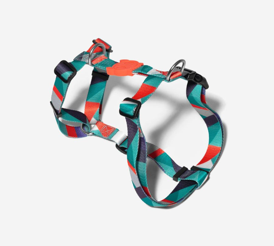 Zee Dog Ella H-Harness: Arnés en forma de H para perros, ligero y ajustable. 🐕 Fabricado en poliéster suave, con sistema de bloqueo seguro y diseño vibrante.